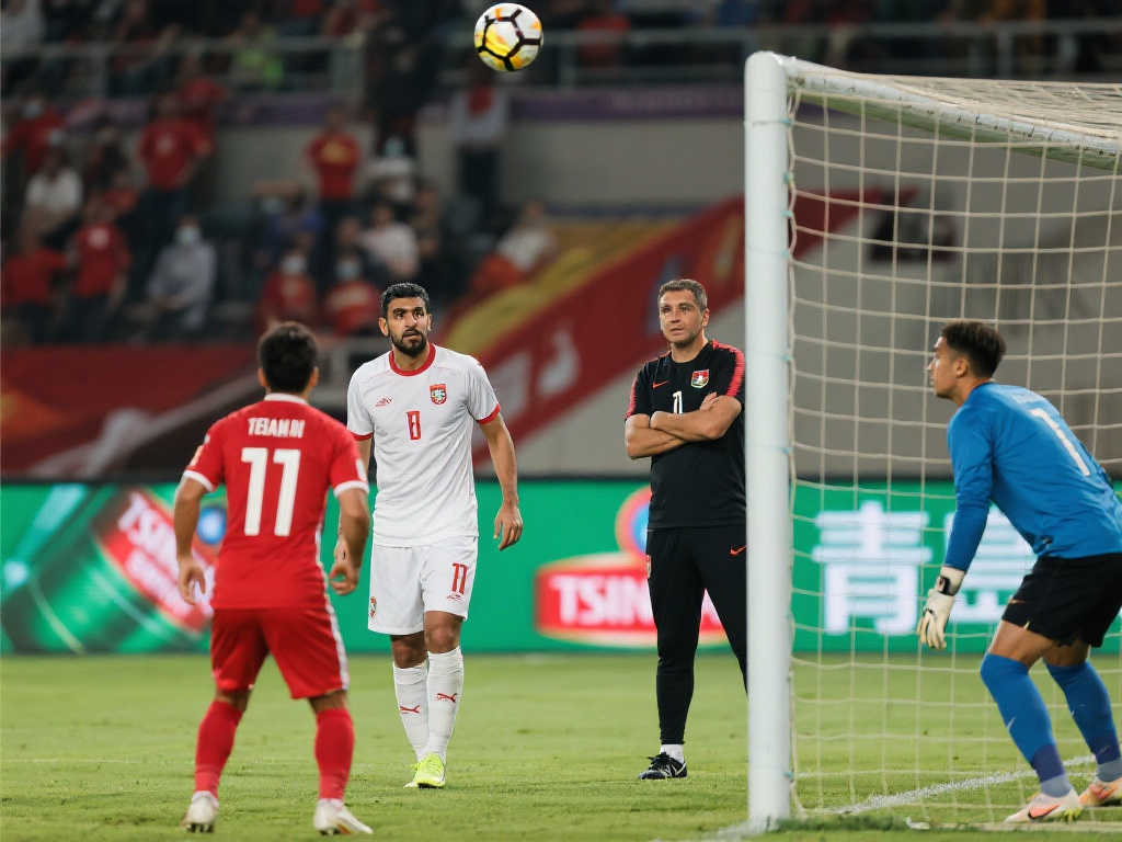 发的表现 发的表现